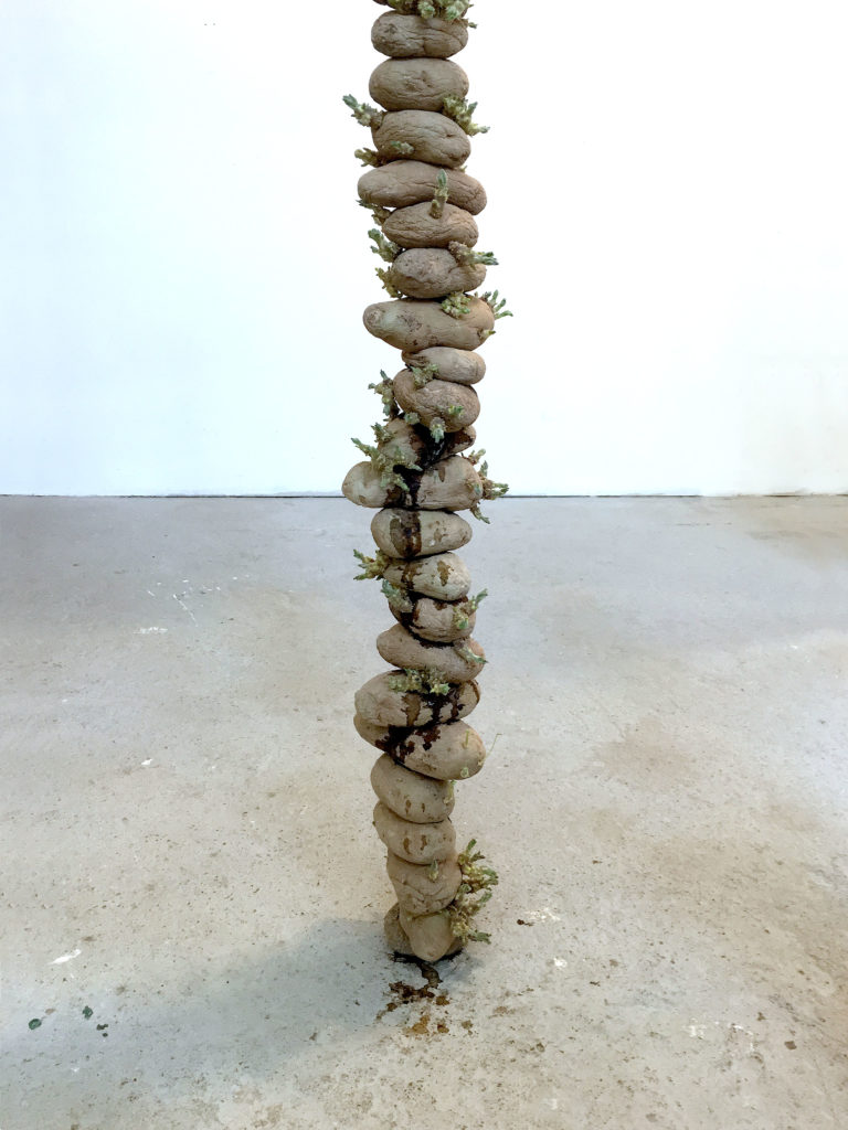 Janus Stacks, Tim Simonds