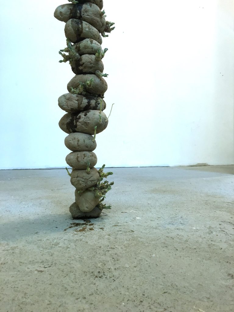 Janus Stacks, Tim Simonds